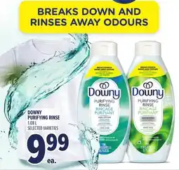 Metro DOWNY PURIFYING RINSE offer