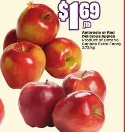 Chalo FreshCo Ambrosia or Red Delicious Apples Product of Ontario Canada Extra Fancy 3.73/kg offer