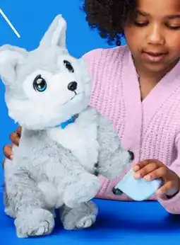 Walmart Little Live Pets offer