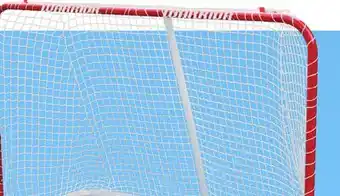 Walmart 72 Warrior Hockey Net offer