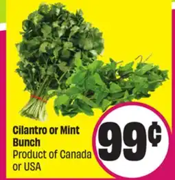FreshCo Cilantro or Mint Bunch Product of Canada or USA offer