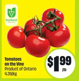 FreshCo Tomatoes on the Vine Product of Ontario 4.39/kg offer