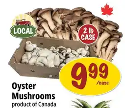 Farm Boy Oyster Mushrooms offer