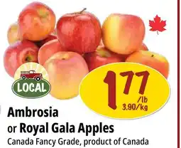 Farm Boy Ambrosia or Royal Gala Apples offer