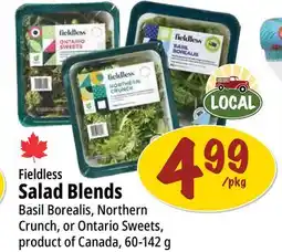 Farm Boy Fieldless Salad Blends offer