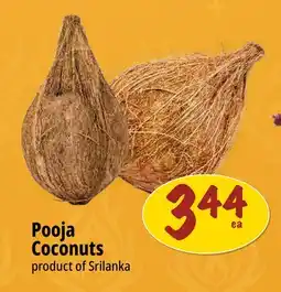Farm Boy Pooja Coconuts offer