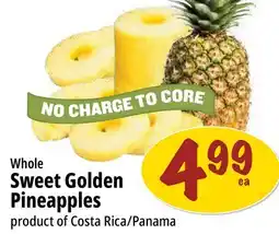 Farm Boy Whole Sweet Golden Pineapples offer