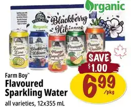 Farm Boy Farm Boy Flavoured Sparkling Water offer
