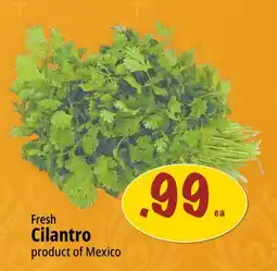 Farm Boy Fresh Cilantro offer