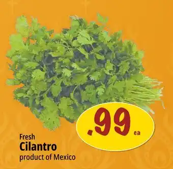 Farm Boy Fresh Cilantro offer