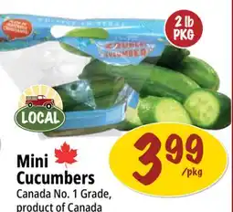 Farm Boy Mini Cucumbers offer
