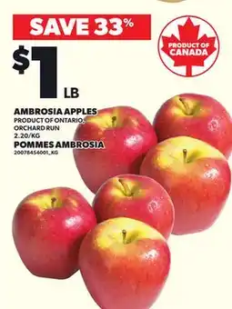 Independent Grocer AMBROSIA APPLES offer