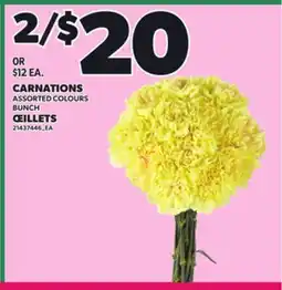 Independent Grocer CARNATIONS offer