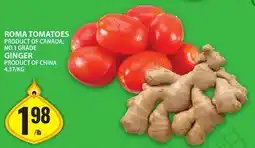 Food Basics ROMA TOMATOES OR GINGER offer