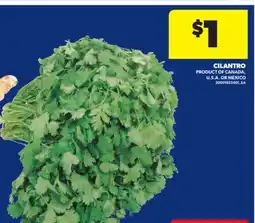 Real Canadian Superstore CILANTRO offer