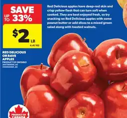 Real Canadian Superstore RED DELICIOUS OR RAVE APPLES offer