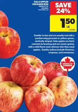 Real Canadian Superstore GALA APPLES ORCHARD RUN offer