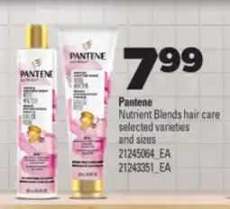 Real Canadian Superstore PANTENE NUTRIENT BLENDS HAIR CARE offer