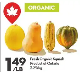 Longo's Fresh Organic Squash offer