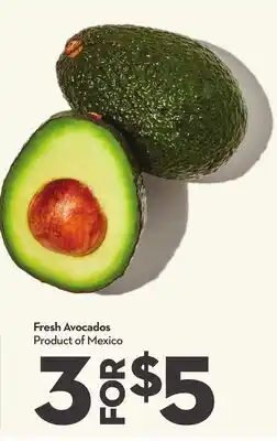 Longo's Fresh Avocados offer