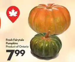 Longo's Fresh Fairytale Pumpkins offer