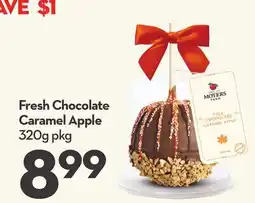 Longo's Fresh Chocolate Caramel Apple offer