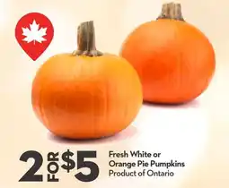 Longo's Fresh White or Orange Pie Pumpkins offer