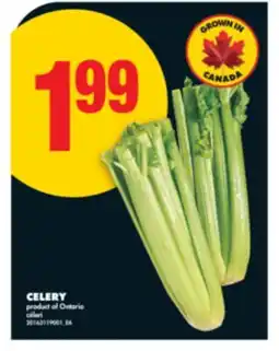 No Frills CELERY offer