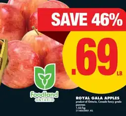No Frills ROYAL GALA APPLES offer