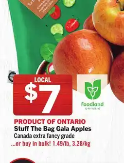 Foodland Stuff The Bag Gala Apples offer