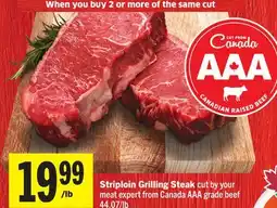 Foodland Striploin Grilling Steak offer