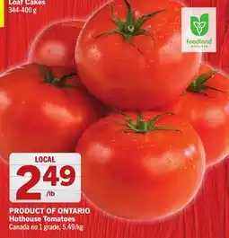 Foodland Hothouse Tomatoes offer