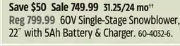 Canadian Tire Greenworks 60 V Single-Stage Snowblower offer