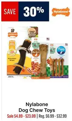 Ren’s Pets Depot Nylabone Dog Chew Toys offer