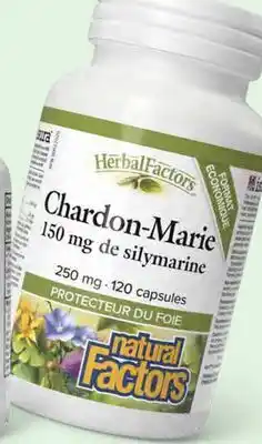 Avril Chardon-Marie offer