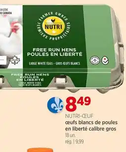 Avril Œufs blancs de poules en liberté calibre gros offer