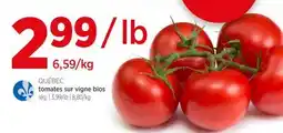 Avril tomates sur vigne bios offer