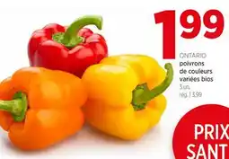 Avril poivrons de couleurs variées bios offer