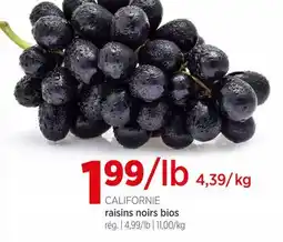 Avril raisins noirs bios offer