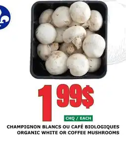 Marches Tau CHAMPIGNON BLANCS OU CAFÉ BIOLOGIQUES offer