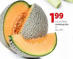 Avril cantaloup bio offer