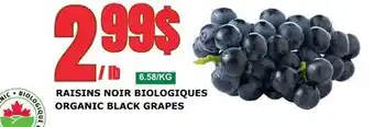 Marches Tau RAISINS NOIR BIOLOGIQUES offer