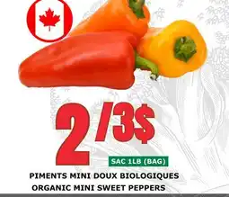 Marches Tau PIMENTS MINI DOUX BIOLOGIQUES offer