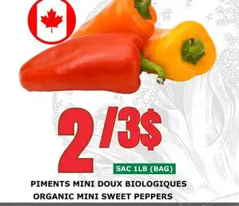 Marches Tau PIMENTS MINI DOUX BIOLOGIQUES offer