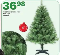 Rossy Pine Christmas tree offer