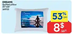 Rossy DREAMS Quilted pillow 20 x26 offer