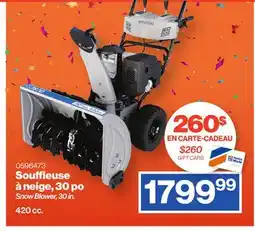 Patrick Morin Snow Blower, 30 in offer