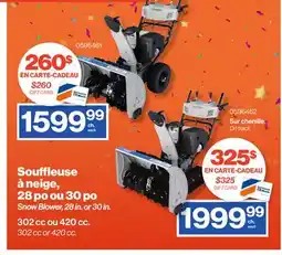 Patrick Morin Snow Blower, 28 in. or 30 in offer