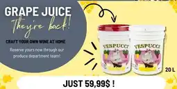 Mayrand Vespucci offer