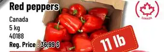 Mayrand Red Peppers 11 lb offer